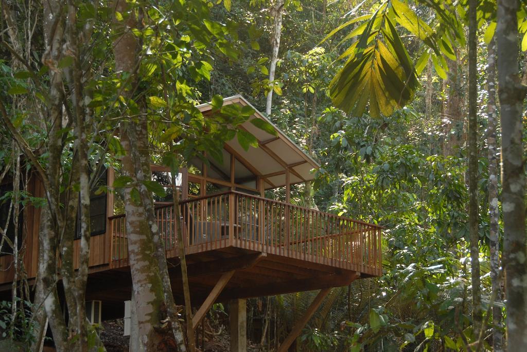 Bergendal Amazonia Wellness Resort Berg en Dal エクステリア 写真